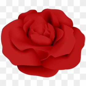 Garden Roses Red Petal, HD Png Download - falling roses png