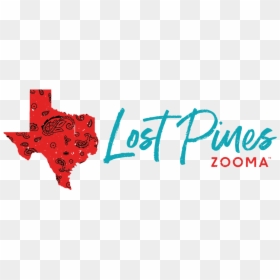 Zooma Texas Lost Pines Half Marathon 10k 5k - Texas Map, HD Png Download - texas png image