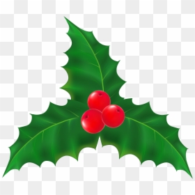 Leaf At Getdrawings Com, HD Png Download - holly.png