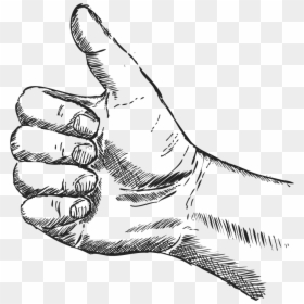 Woodcut Illustration Thumbs Up - Sketch, HD Png Download - thumbs up thumbs down png