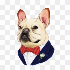 French Bulldog, HD Png Download - bull dog png