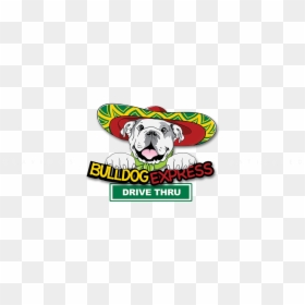 Bulldog Express, HD Png Download - bull dog png