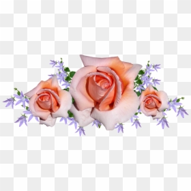 Thank You Messages To My Friends For Support Me During - Flower, HD Png Download - thank you for your support png
