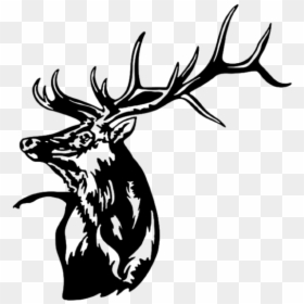 Bull Elk Head Metal Wall Art Metal Expression - Elk Head Outline, HD Png Download - elk silhouette png