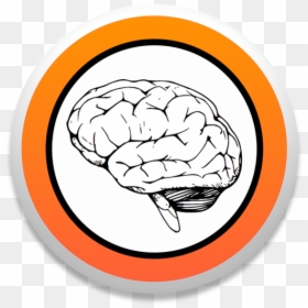 Spike Recorder Mac App Store"da, HD Png Download - brain clip art png