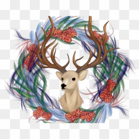 My Dear Deer Small - White-tailed Deer, HD Png Download - dear png