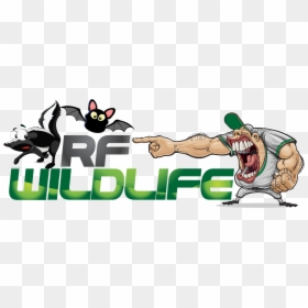 Rf Wildlife Removal - Cartoon, HD Png Download - snapping turtle png