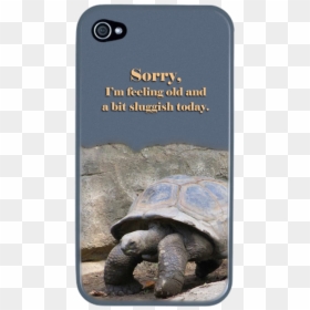 Giant Tortoise 1577058 Png, Transparent Png - snapping turtle png