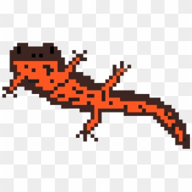 Oriental Fire-bellied Toad, HD Png Download - newt png
