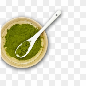 Duckweed Powder, HD Png Download - top down png