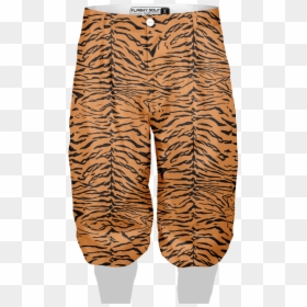 Tiger, HD Png Download - tiger print png