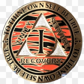 1 Year Aa Medallion Tiger Stripes Animal Print Reflex, HD Png Download - tiger print png