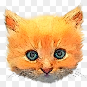 Free Images At Clker Com Vector Clip - Kitten Head Png, Transparent Png - kitten.png