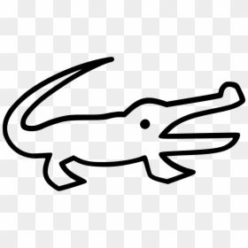 Alligator, HD Png Download - alligator.png