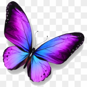 Butterfly Royalty-free Stock Photography - Violet Blue Butterfly, HD Png Download - free butterfly png
