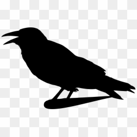 Thumb Image - Crow Clip Art, HD Png Download - raven png images