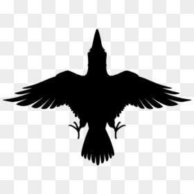 View Media - Eagle, HD Png Download - raven png images