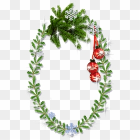 Christmas Holly Borders And Frames Png Download - Oval Christmas Frame Png, Transparent Png - oval picture frames png