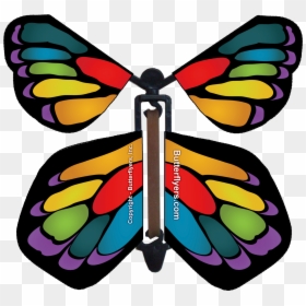 Flying Butterfly In Card, HD Png Download - flying butterflies png