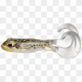 Beloniformes, HD Png Download - 1000 degree knife png