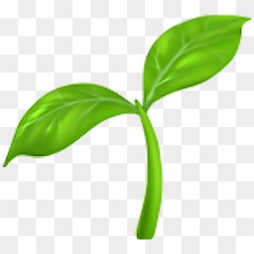 Transparent Seedling Emoji, HD Png Download - sprout png