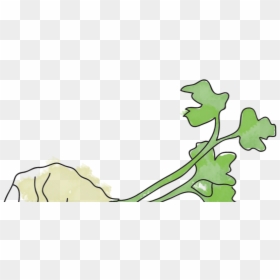 Clip Art, HD Png Download - sprout png