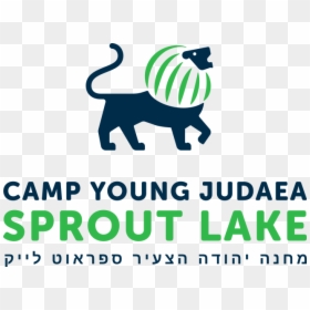 Camp Young Judaea Sprout Lake, HD Png Download - sprout png