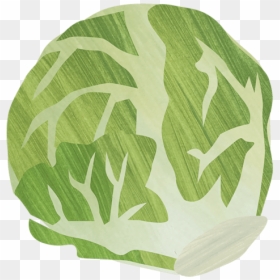 Cabbage, HD Png Download - sprout png