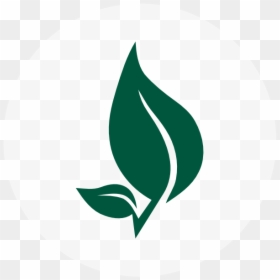 Organic Leaf Logo Png, Transparent Png - organic png