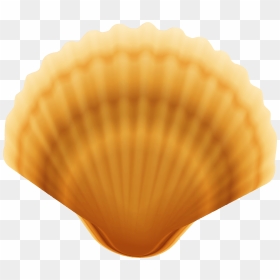 Clam Shell Transparent Background, HD Png Download - clam png