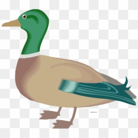 Farm Ducks Clip Art, HD Png Download - clam png