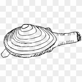 Razor Clam Clip Art, HD Png Download - clam png