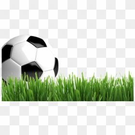 Football With Grass Png, Transparent Png - grass png