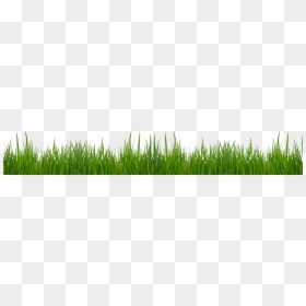 Transparent Grass Clipart, HD Png Download - grass png