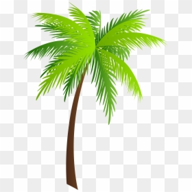 Palm Clip Art, HD Png Download - palm tree png
