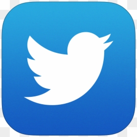 Twitter Transparent Logo Png, Png Download - twitter icon png
