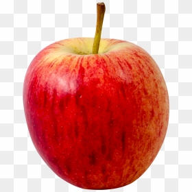 Apple Fruit Transparent Background, HD Png Download - apple png