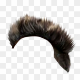 Buzzard, HD Png Download - hair png