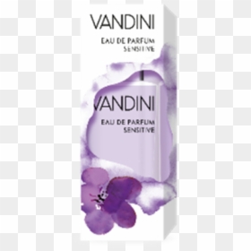 Eau De Parfum Violet Blossom - English Lavender, HD Png Download - violets png