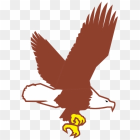 Cartoon Flying Bald Eagle, HD Png Download - bald eagle flying png