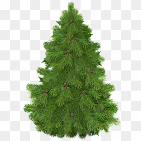 Happy Christmas Christmas Tree Clipart, Christmas Trees, - Fir Tree, HD Png Download - happy christmas png