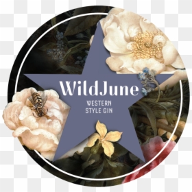 Wildjune - Rose, HD Png Download - find us on facebook transparent png
