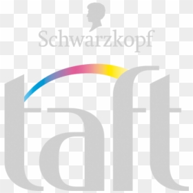 Taft Com Logo Silver - Schwarzkopf Professional, HD Png Download - carbon fiber texture png