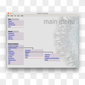 The Stacked Tiering Of The Histology Menu - Utility Software, HD Png Download - eye veins png