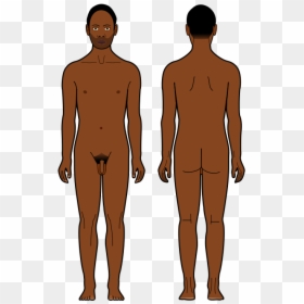 Black Man From Behind, HD Png Download - person from behind png