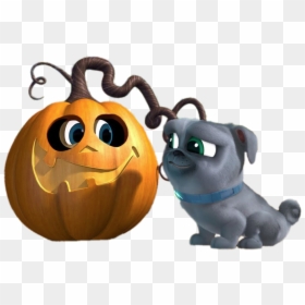 Puppy Dog Pals Halloween Pumpkin - Jack-o'-lantern, HD Png Download - pumpkin png images