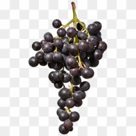 Seedless Fruit, HD Png Download - red grapes png