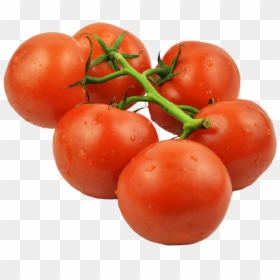 Tomatos On Stem - Tomato, HD Png Download - tomato clipart png