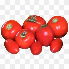 Fresh Tomatoes Clipart - Plum Tomato, HD Png Download - tomato clipart png