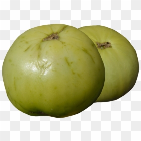 Clipart Two Green Tomatoes - Tomato, HD Png Download - tomato clipart png